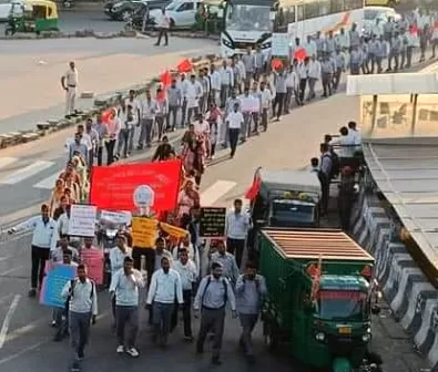 बेलसोनिका बेलसोनिका