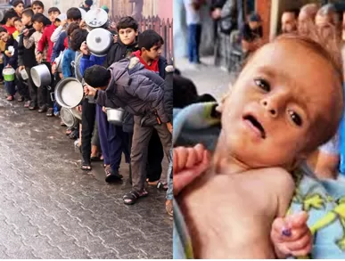 /gaza-mein-strive-humanity-ke-khilaaf-kroor-amanviy-hamala